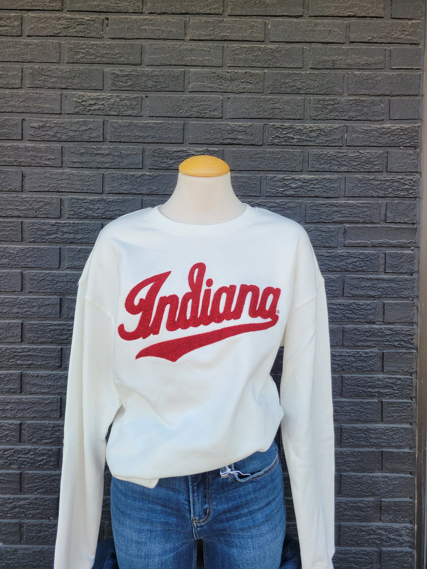 COLLEGE CHENILLE SWEATSHIRT